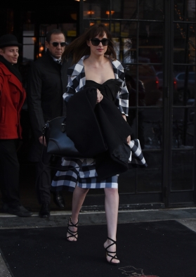 DakotaJohnsonfan_28129.jpg