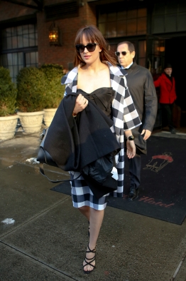 DakotaJohnsonfan_282029.jpg