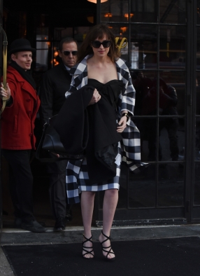 DakotaJohnsonfan_282829.jpg