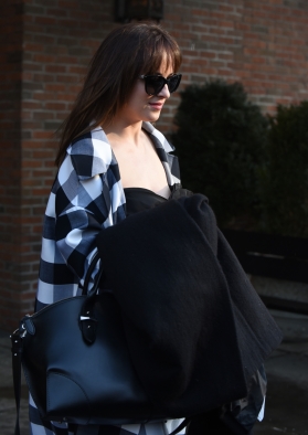 DakotaJohnsonfan_283729.jpg