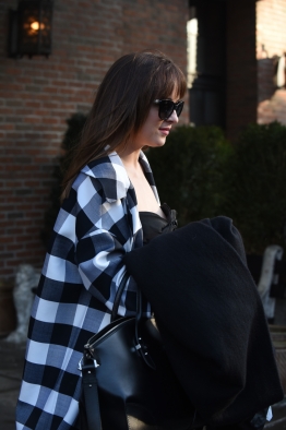 DakotaJohnsonfan_283829.jpg