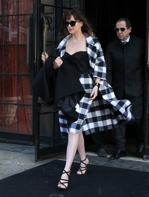 DakotaJohnsonfan_283929.jpg