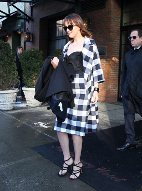 DakotaJohnsonfan_284329.jpg