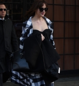 DakotaJohnsonfan_283329.jpg