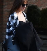 DakotaJohnsonfan_283729.jpg