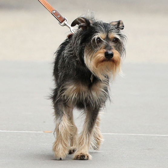 Click to view full size image
==============
Dakota_28829.jpg Dakota_28829.jpg