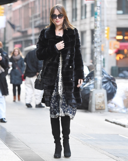 DJ_287229.jpg