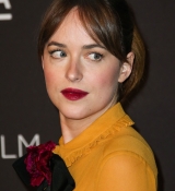 Dakota_2810129.jpg