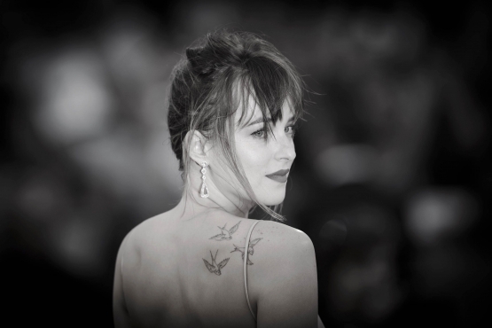 Dakota_2825029.JPG