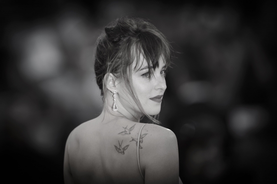 Click to view full size image
==============
Dakota_289629.jpg Dakota_289629.jpg