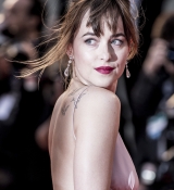 Dakota_2839929.jpg
