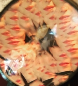 May_10.jpg