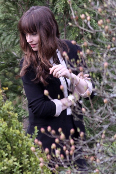 Fifty_Shades_284229.jpg