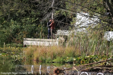 Click to view full size image
==============
15.jpg 15.jpg