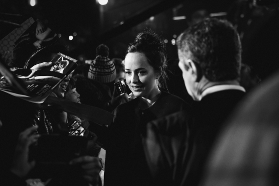 1_2820529.jpg