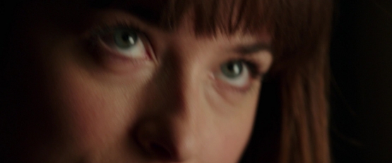 1_28416729.jpg