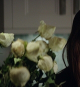 1_2811329~0.jpg